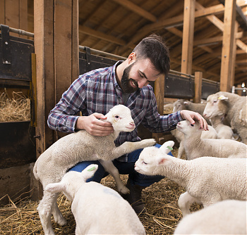 Dignissim sodales - Sed libero enim sed faucibus turpis in eu. Velit dignissim sodales ut eu sem integer vitae justo eget. 