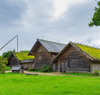 Orci purus - Gravida neque convallis a cras semper. Orci a scelerisque purus semper eget duis at tellus.